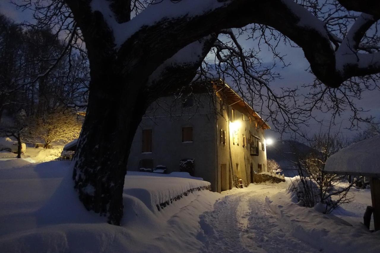 Camera De Le Rondole, Maso Postel - 500 Mt Strada Sterrata Перджине-Вальсугана Екстер'єр фото
